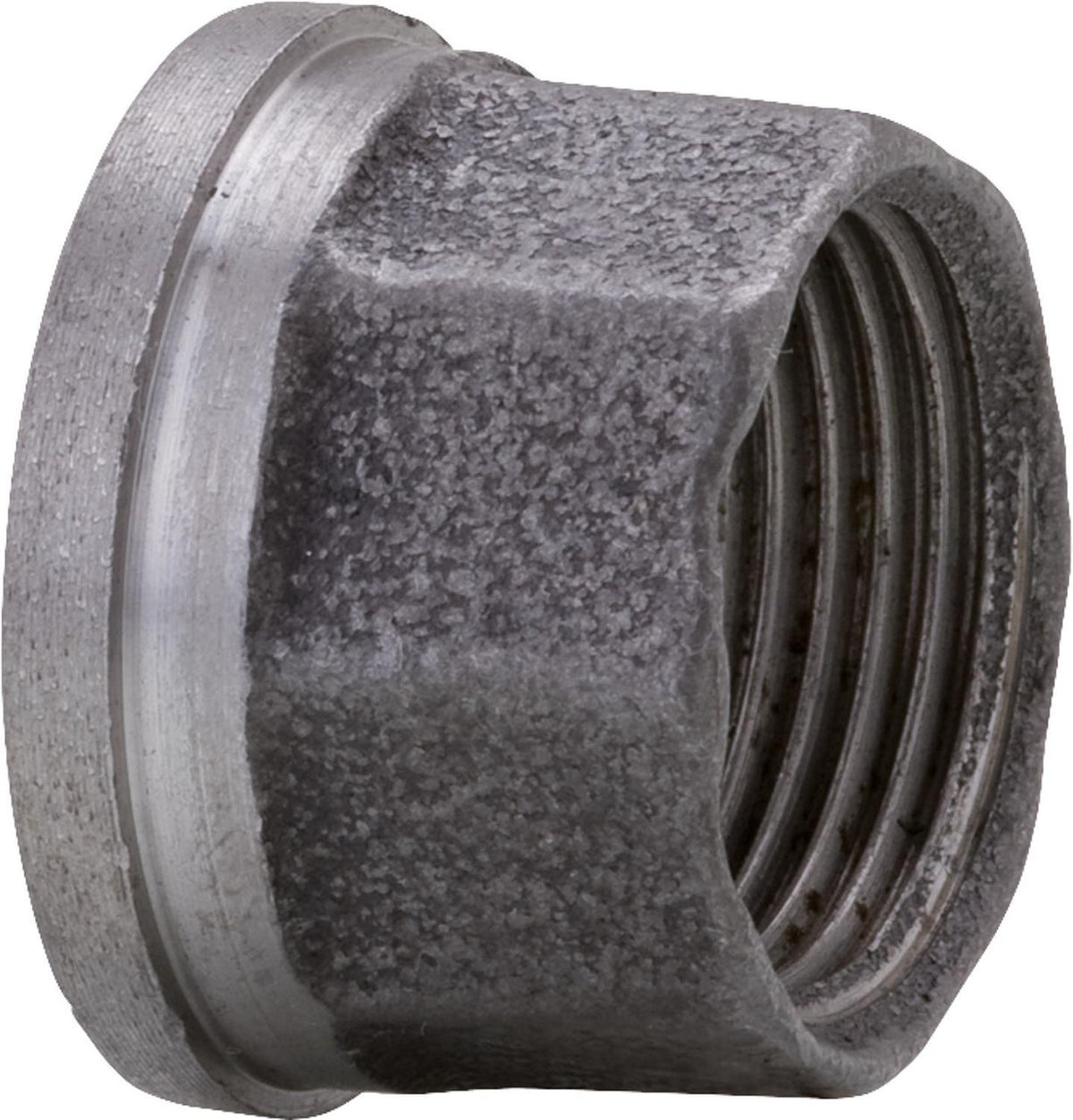 Insert de rechange pour raccord de pompe
