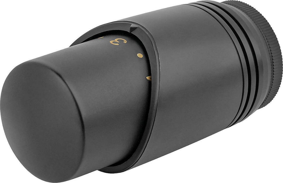 Tête thermostatique design 2TT noir mat M30 x 1,5, sonde à liquide