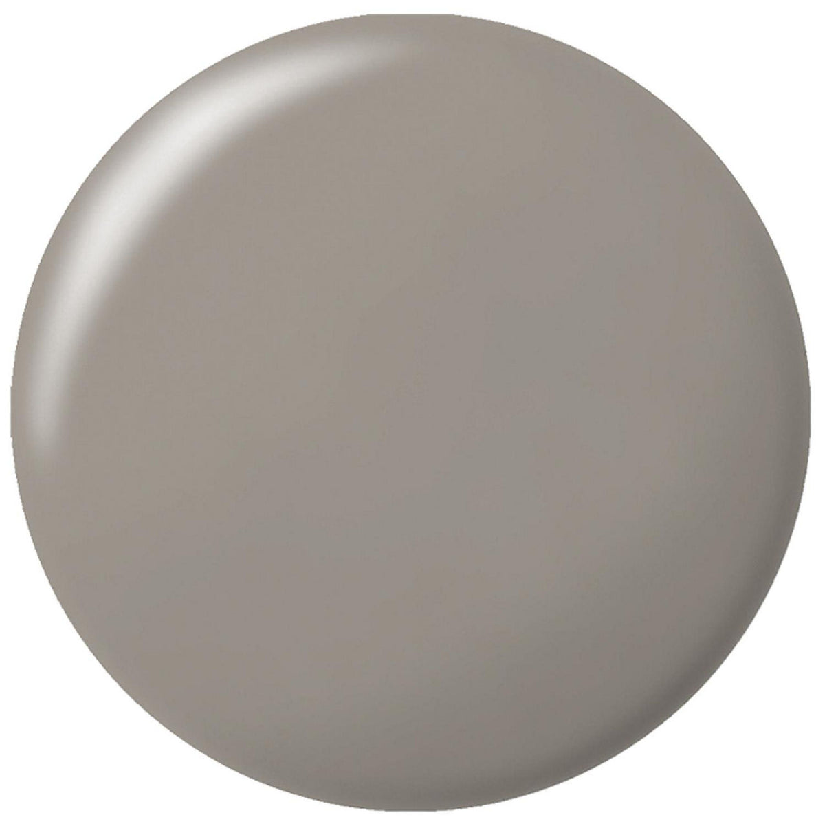 Silicone neutre RAMSAUER 445 Pierre + Sanitaire 310ml cartouche