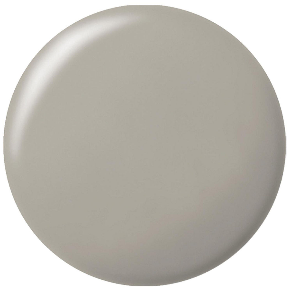 Silicone sanitaire RAMSAUER 450 310ml cartouche