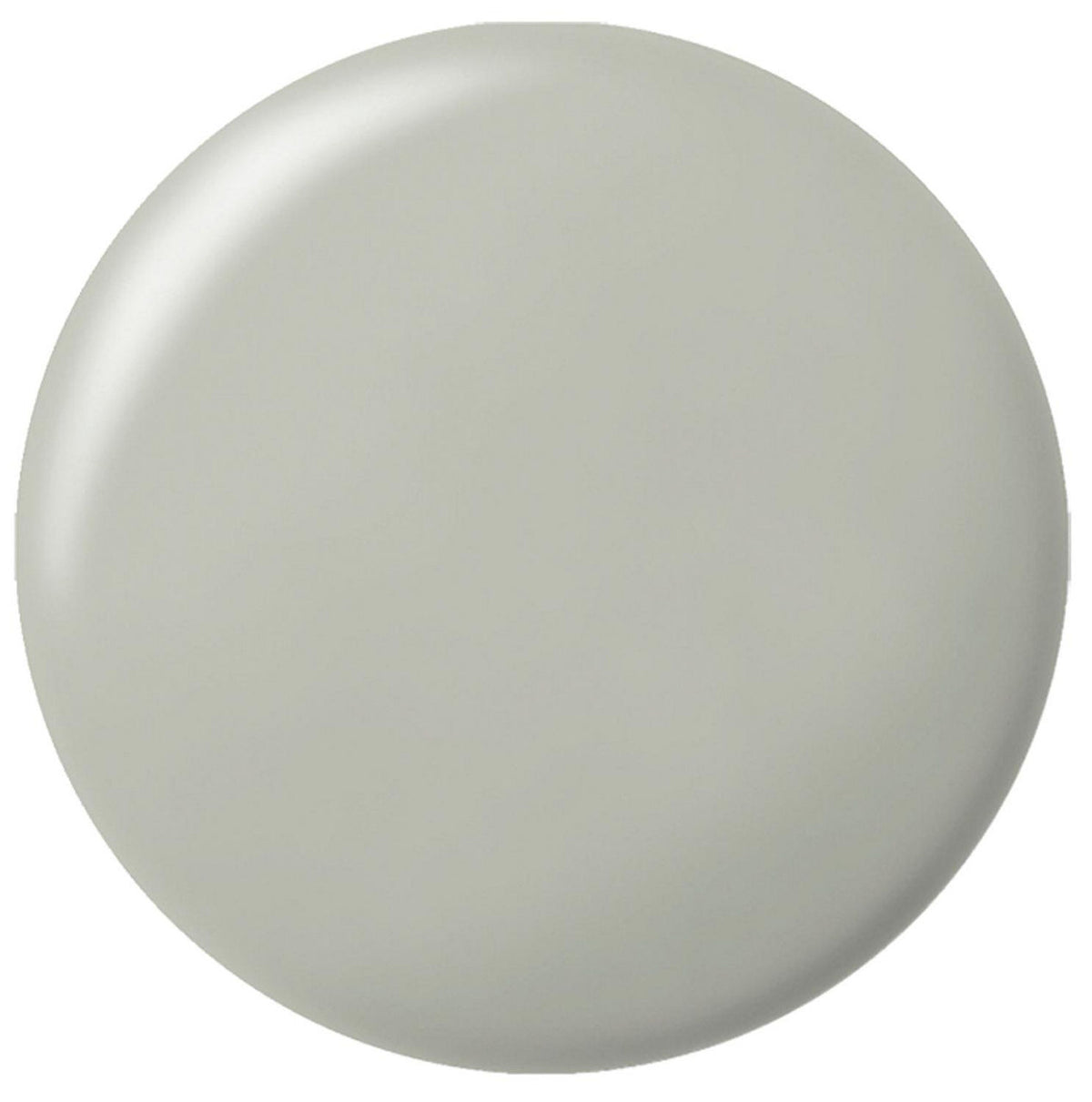 Silicone sanitaire RAMSAUER 450 310ml cartouche