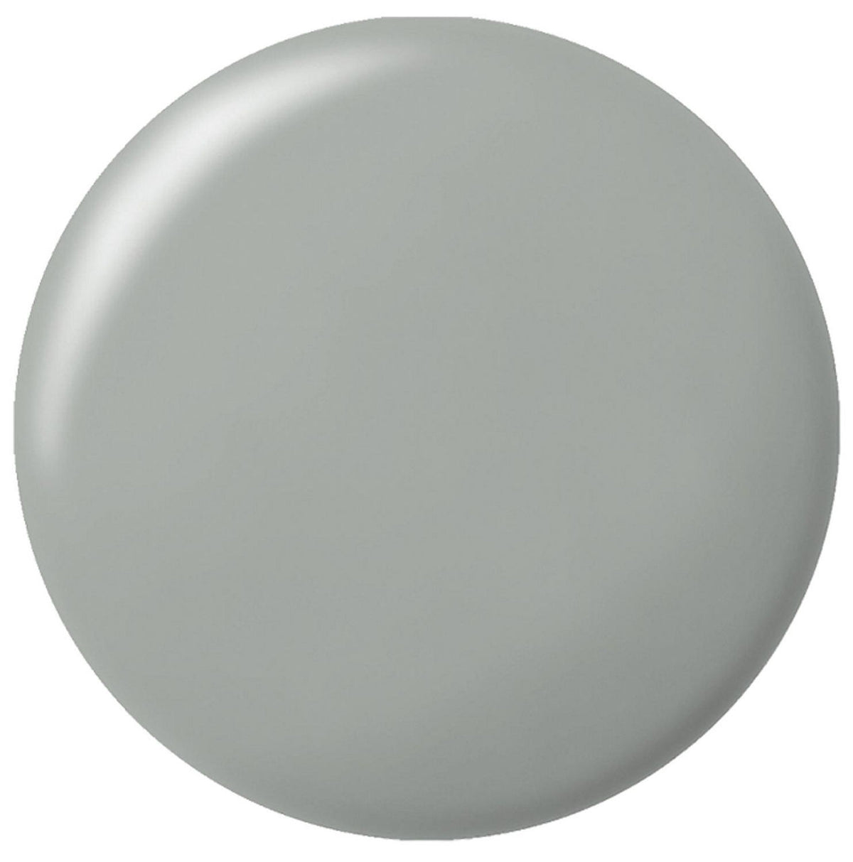 Silicone sanitaire RAMSAUER 450 310ml cartouche