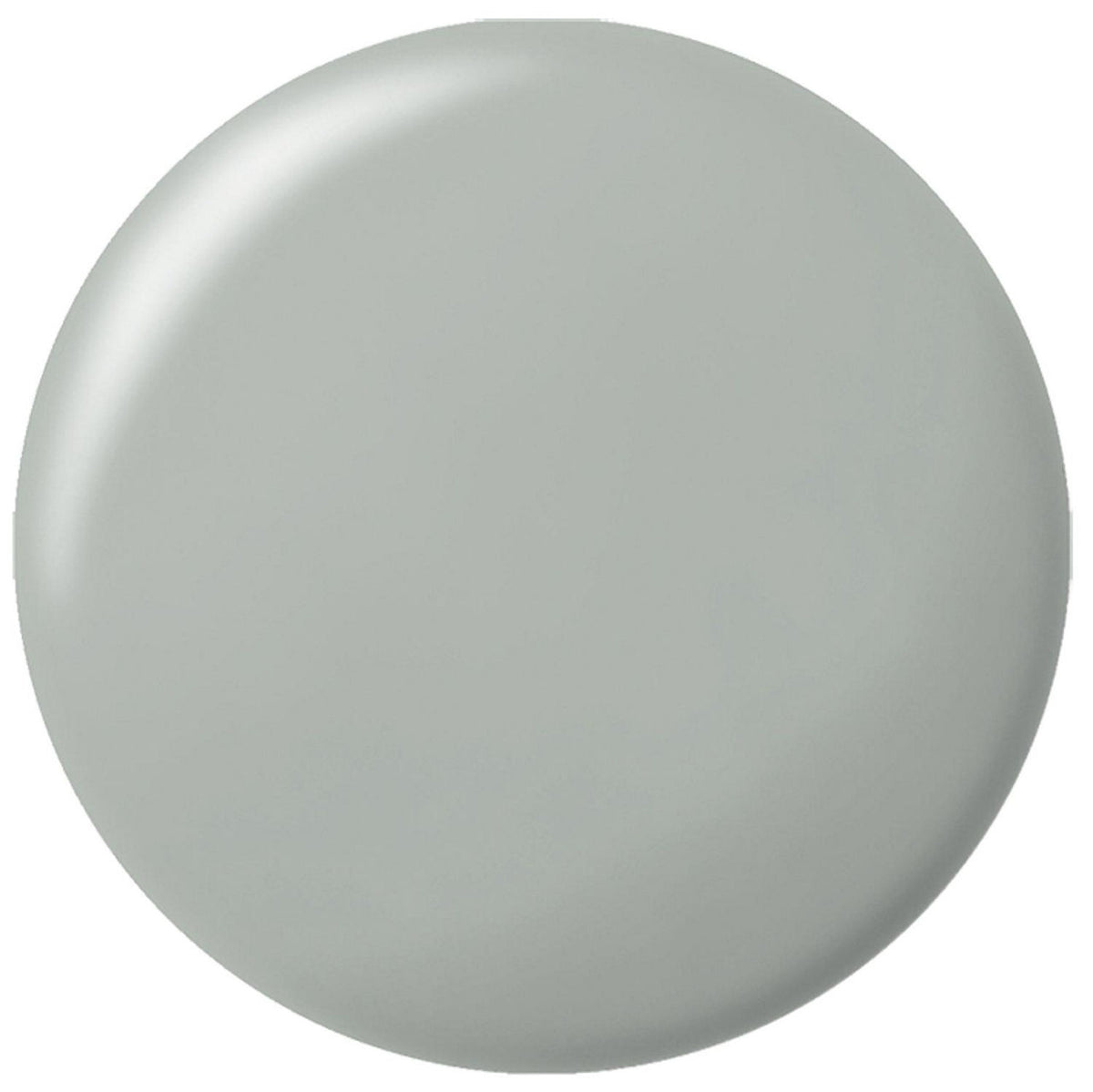Silicone sanitaire RAMSAUER 450 310ml cartouche