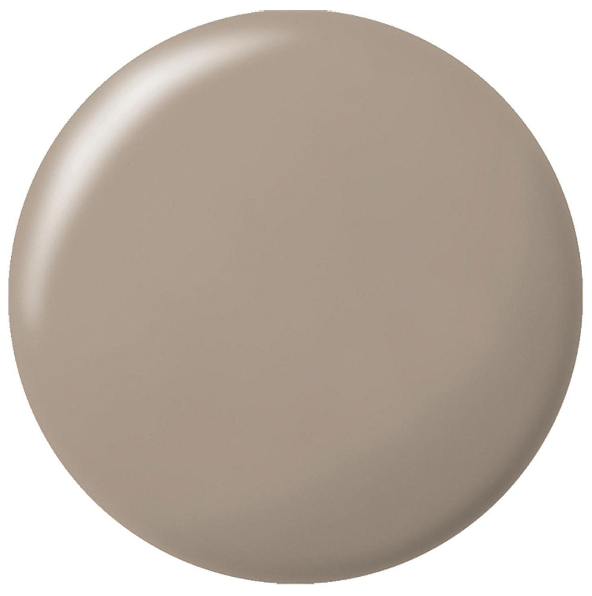 Silicone sanitaire RAMSAUER 450 310ml cartouche