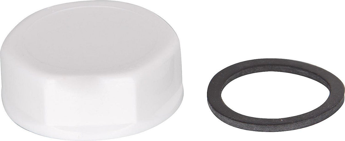 Bouchon obturateur DN 25 (1") plastique blanc avec joint