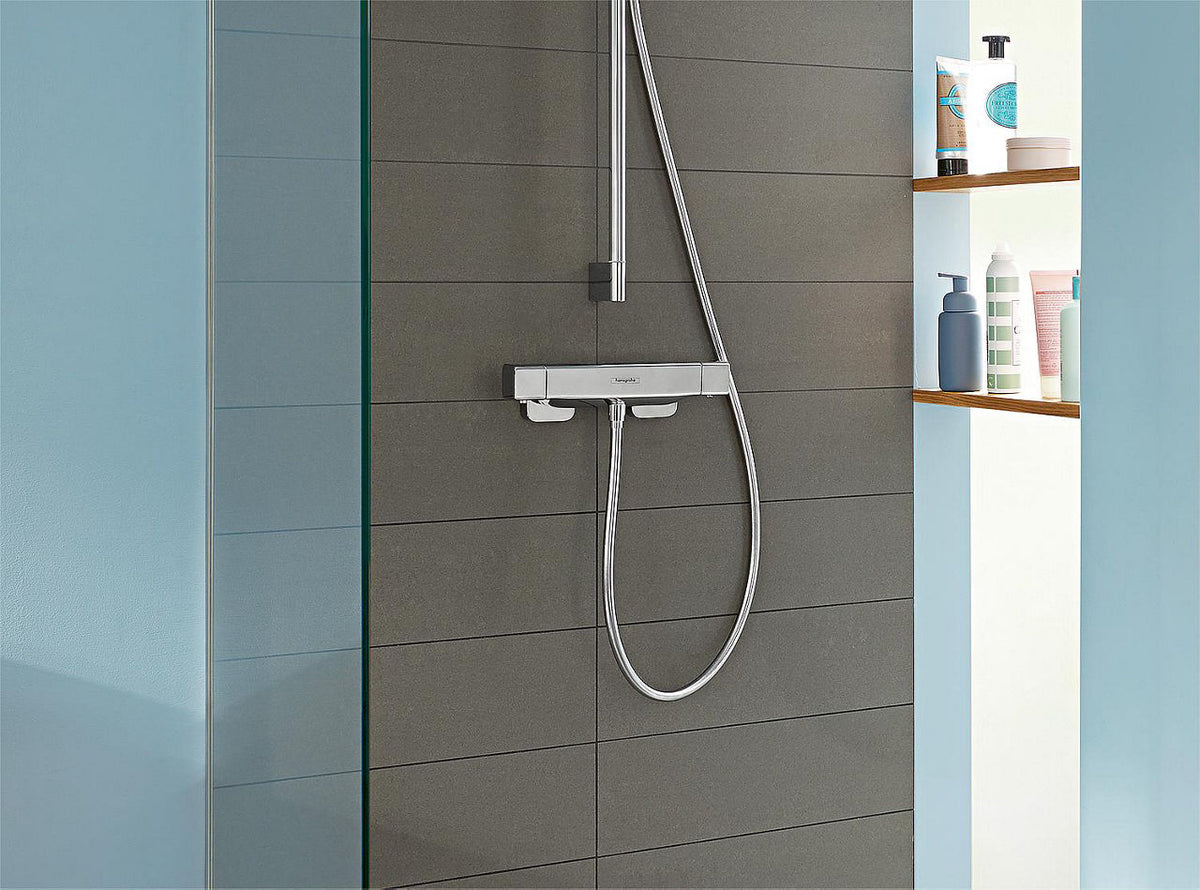 Thermostatique douche apparent Hansgrohe Ecostat E chromé