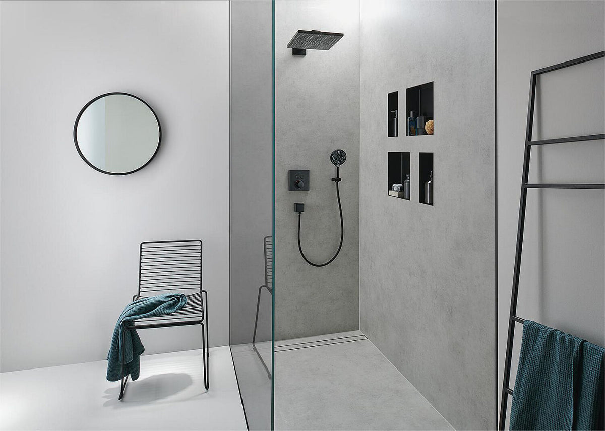 Flexible de douche Hansgrohe Isiflex B