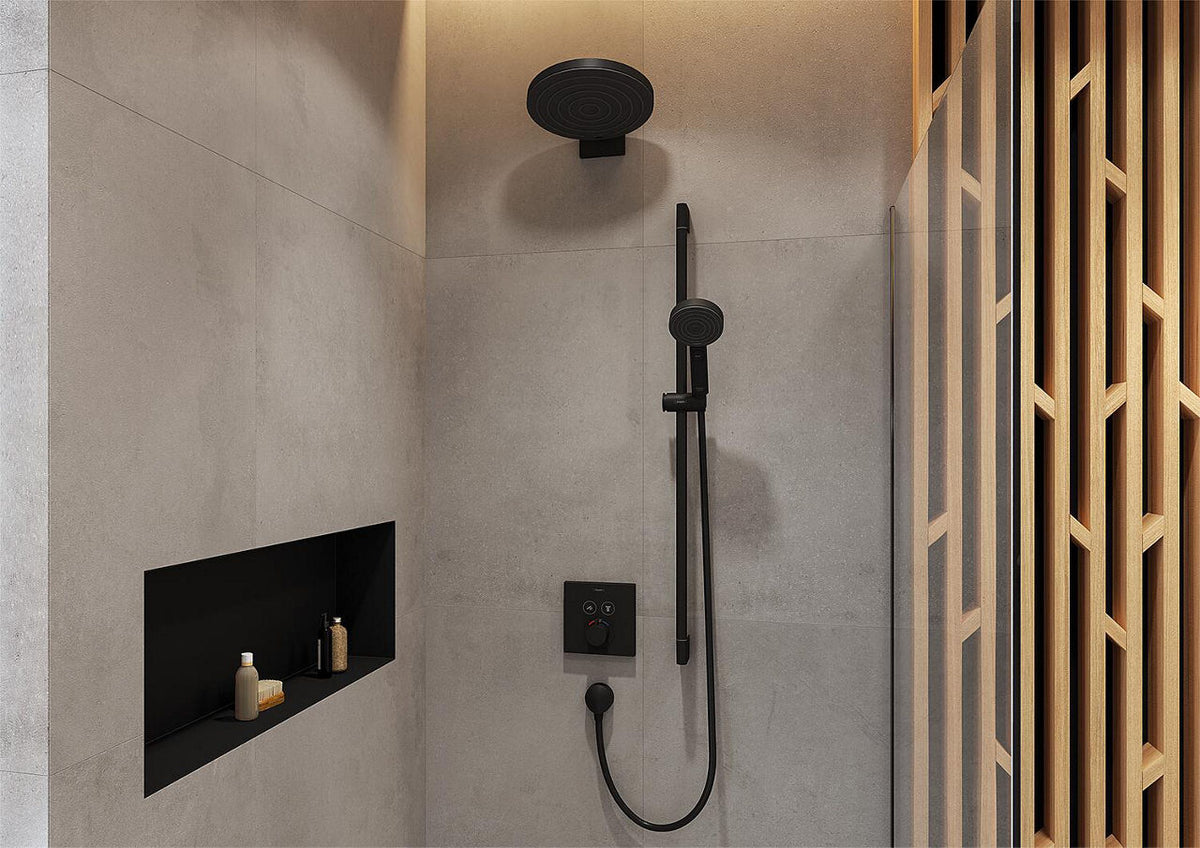 Flexible de douche Hansgrohe Isiflex B