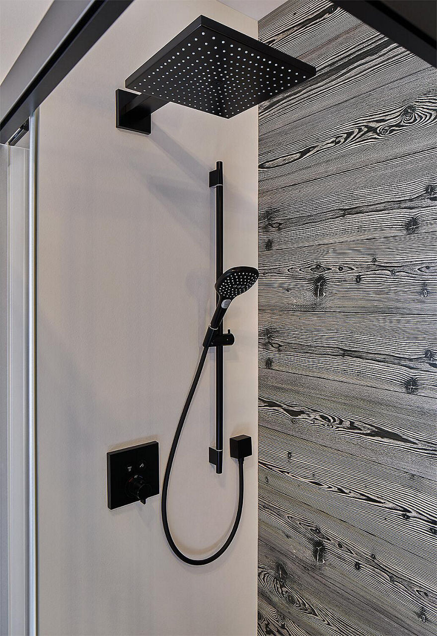 Tête de douche Hansgrohe Raindance E 300 1jet