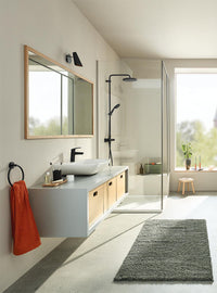 Grohe Tempesta 250 Cube Brausesäule ohne Mischer mattschwarz