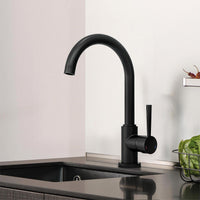 Mitigeur d'évier Malleo evenes avec bec orientable