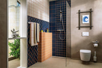 Hansgrohe Activera Select S 95 Brausethermostat-Set 2 Strahlarten, Stange 650mm, Chrom