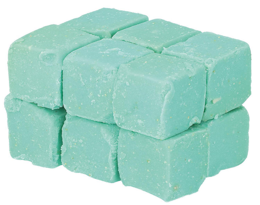 Pastilles désodorisantes pour urinoir avec enzymes, lot de 12