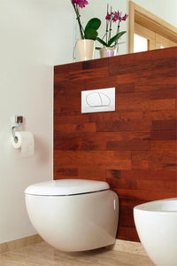 Plaque de commande ELWA Evenes - pour WC 189 blanche