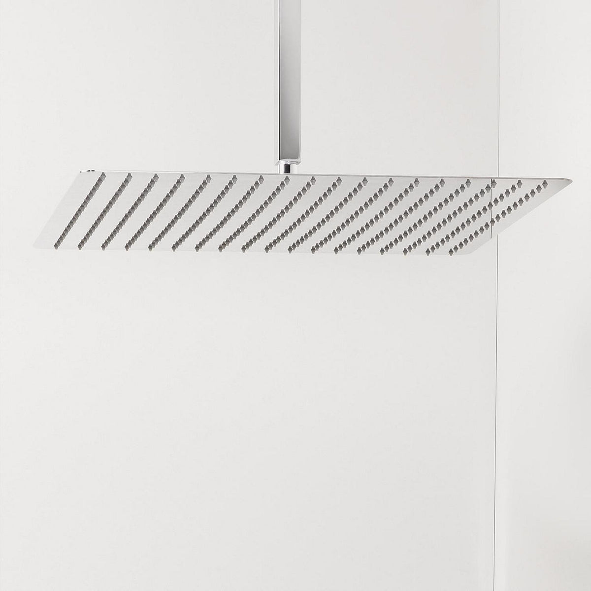 Pomme de douche Rumba, Inox poli, ronde