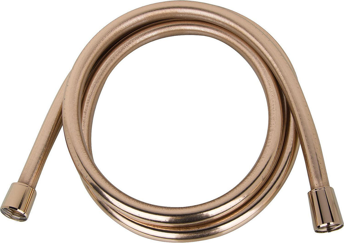 Flexible de douche Hansgrohe Isiflex B