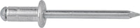 Rivets borgnes GESIPA PolyGrip®, aluminium / mandrin acier galvanisé