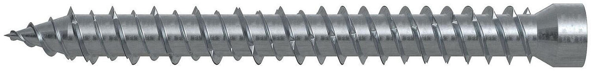 Vis de cadre de fenêtre Fischer FFSZ (bois), tête cylindrique, galvanisée