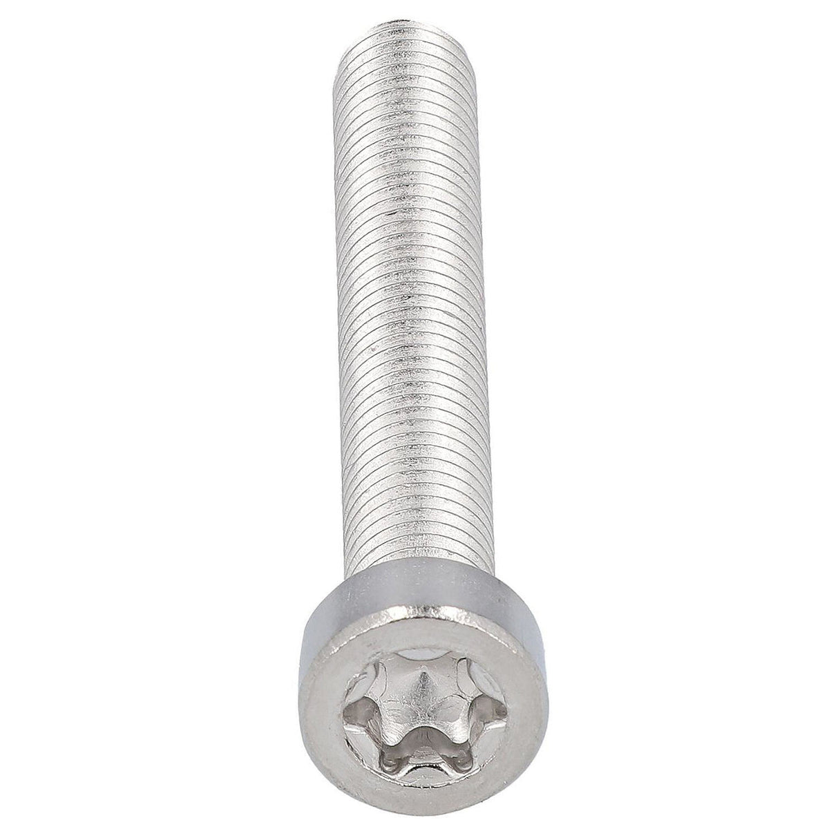 Torx Low Cylinder Head Screw ISO 14580 Stainless Steel A2 M2–M8