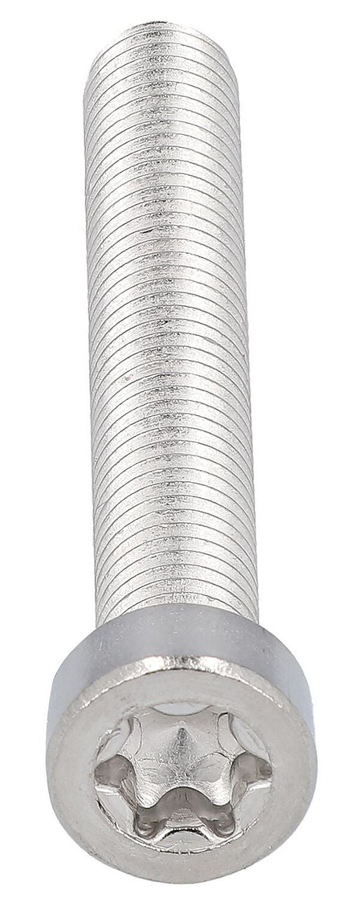 Zylinderschrauben mit Innensechsrund (Torx) ISO 14580 Edelstahl A2 M2–M8