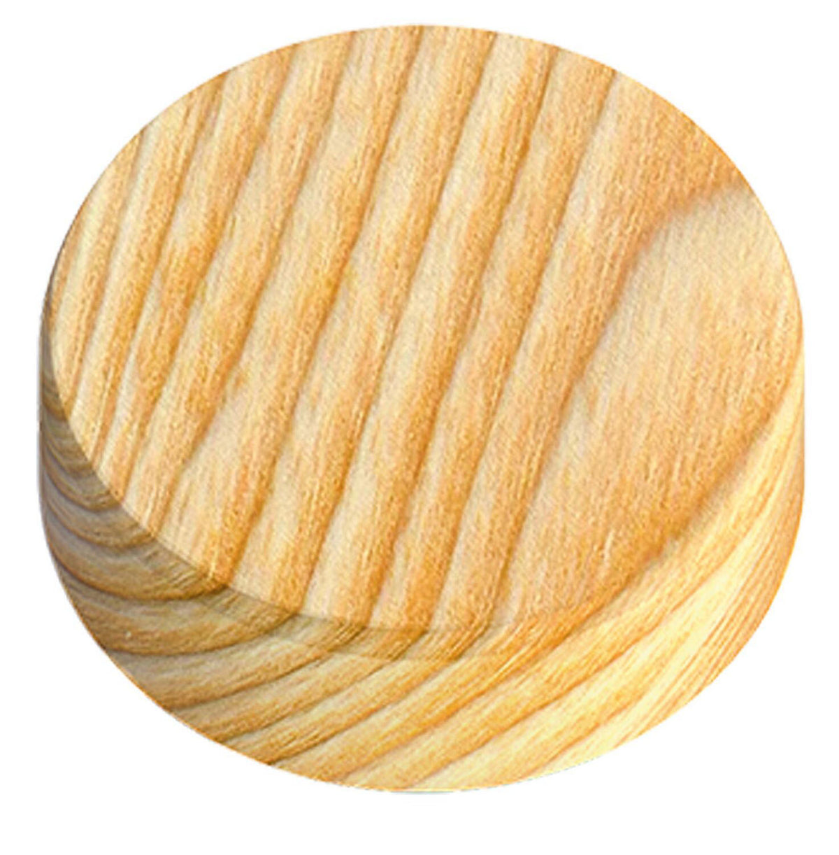 TOX Mini-set de plaquettes de bois transversales Cookie Wood 82 pièces