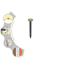TOX Sac d'assortiment Home Classic, 100 pièces, clou d'image tête laiton